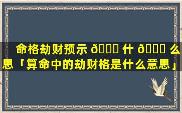 命格劫财预示 💐 什 🐅 么意思「算命中的劫财格是什么意思」